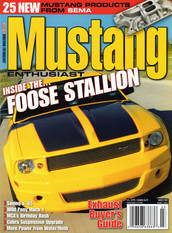 Mustang Enthusiast