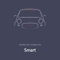 Smart